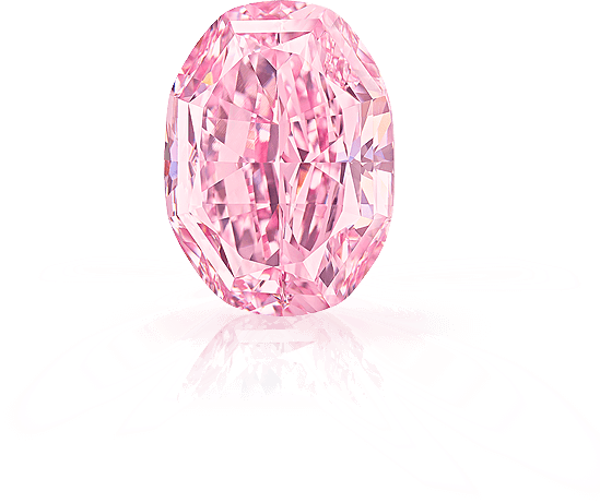 The Spirit of The Rose